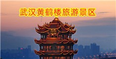 好想大鸡巴操我无码视频